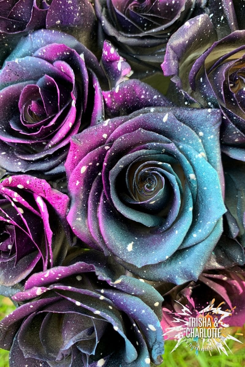 Galaxy Roses: Painting Flowers for Custom Bouquets